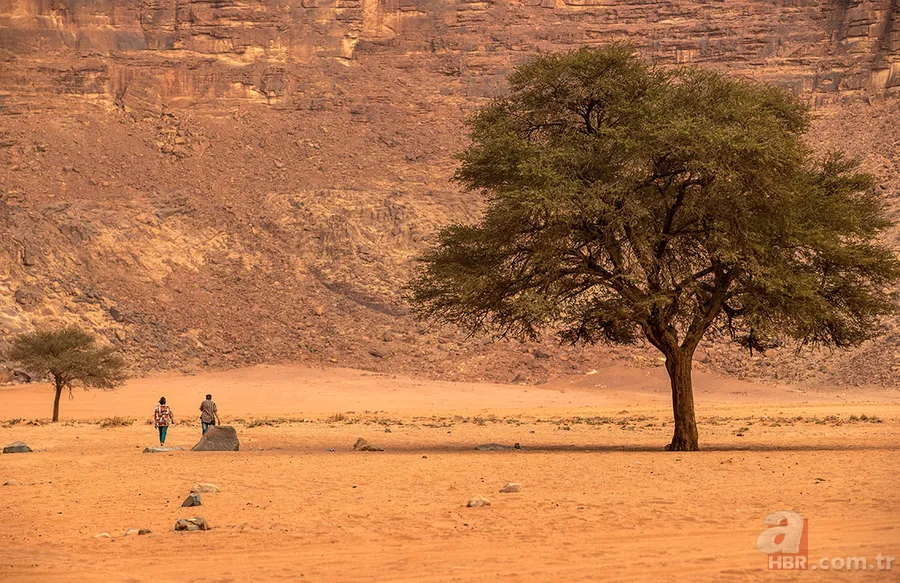 Ebu Cehil Kimdir? Nasıl bir hayat yaşamıştır? Ne zaman, nasıl öldü? Peygamber Efendimizin "Ebu Cehil'in hurma ağacı" sözü ne demek? 4