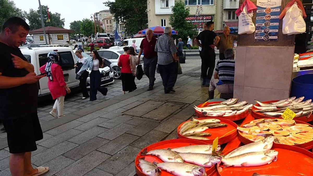 Sinop'ta palamutlar tanesi 350 liradan tezgahlarda!