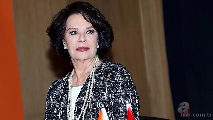 Susuz Yaz filmiyle şöhreti yakaladı! Hülya Koçyiğit'in kardeşi bakın kim çıktı! 8