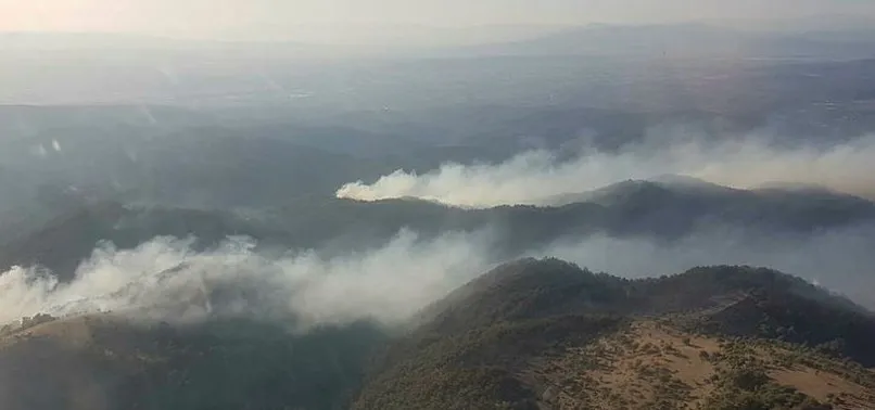 Izmir Urla Yangin Son Durum Nedir Urla Yangini Sonduruldu Mu