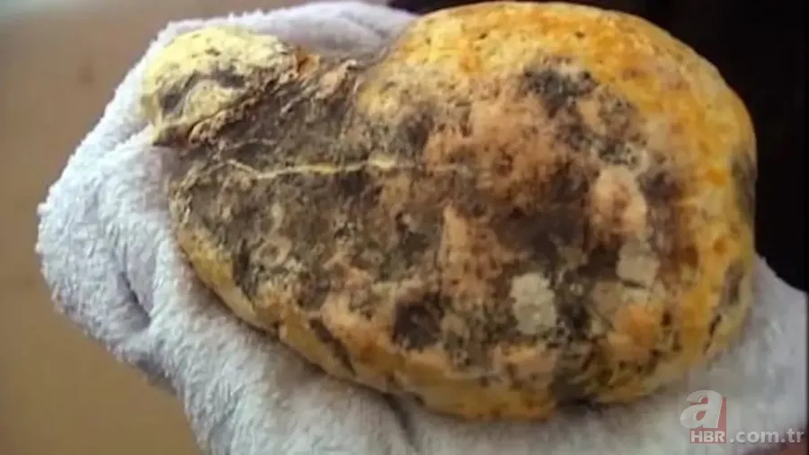 Yürüyüşe çıktı hayatı değişti! Değeri dudak uçuklattı 4