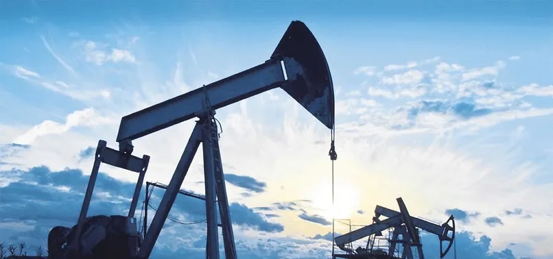 Sarraf bahane hedef Türkiye!