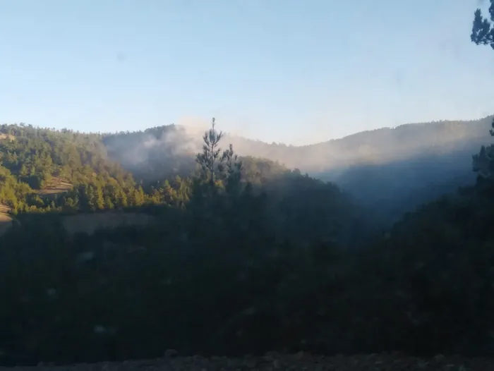 Son dakika: Adana'da orman yangını - 1