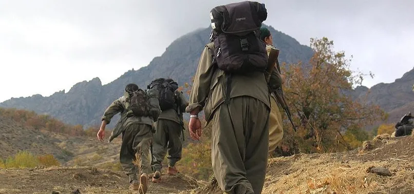 PKK'nın cephane sorumlusu yakalandı