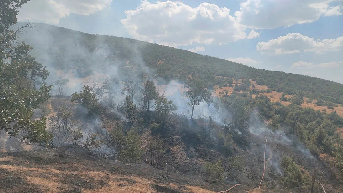 Bingöl'de orman yangını 2 saatte söndürüldü