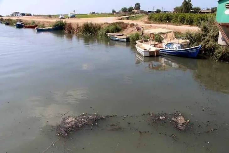 CHP’de sorumsuzluk diz boyu! Türkiye’nin en önemli nehirlerinden Seyhan Nehri için alarm verildi: Akdeniz’de kimyasal tehlikesi