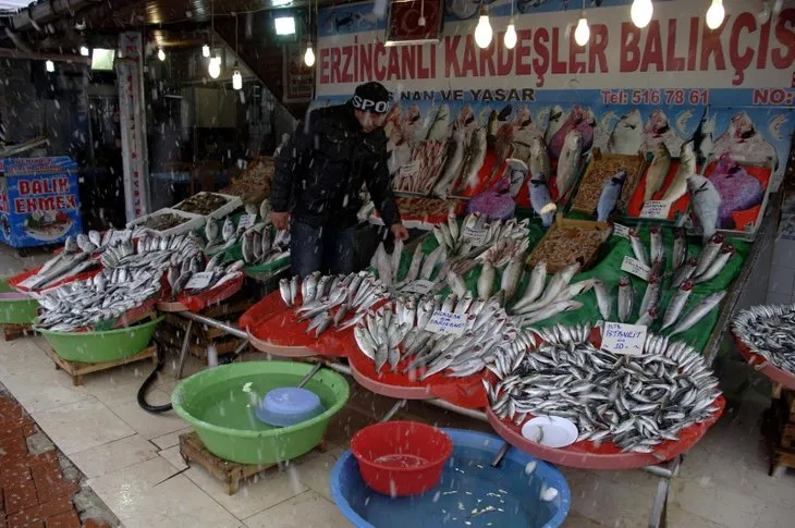 Balık fiyatları ne zaman düşer | Halden tezgaha bölge bölge fiyatlar değişiyor
