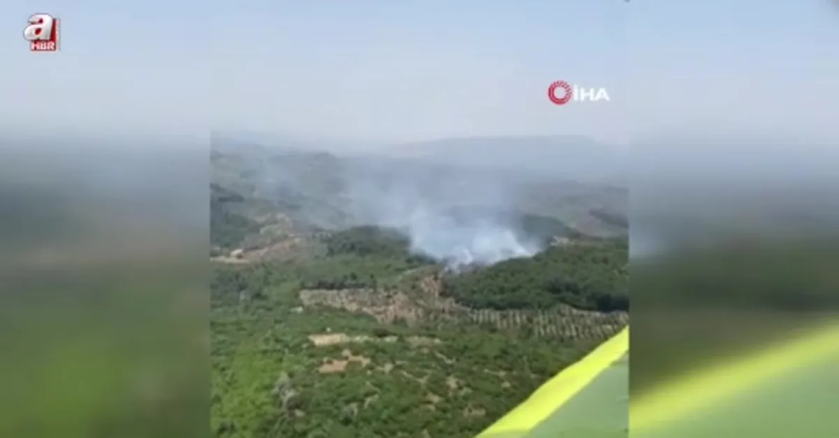 Germencik'te orman yangını