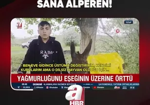 HELAL OLSUN SANA ALPEREN!