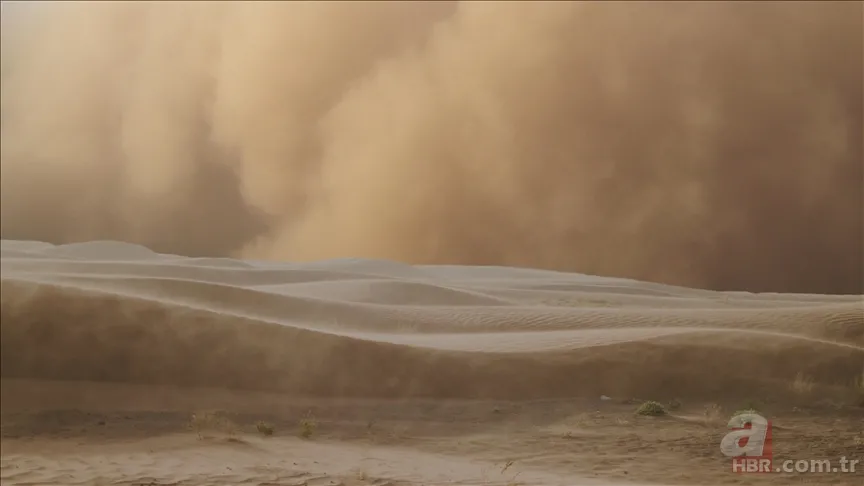Ebu Cehil Kimdir? Nasıl bir hayat yaşamıştır? Ne zaman, nasıl öldü? Peygamber Efendimizin "Ebu Cehil'in hurma ağacı" sözü ne demek? 7