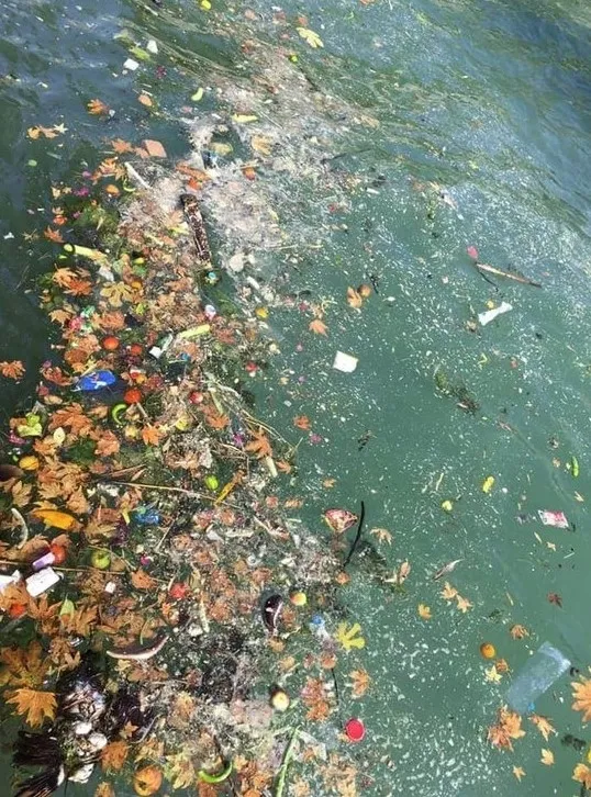 Fethiye'de deniz çöplüğe döndü CHP’li belediye seyirci kaldı - 3