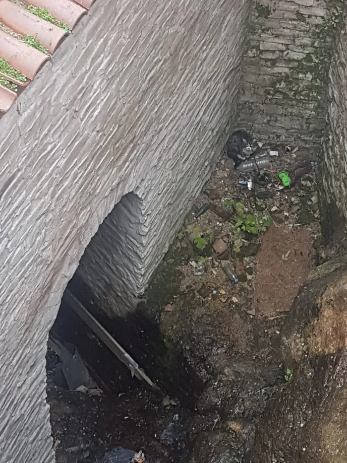 Dereye düşen kedi ve yavru köpeği itfaiye kurtardı! Karabük'te yürekleri ısıtan görüntü - 1