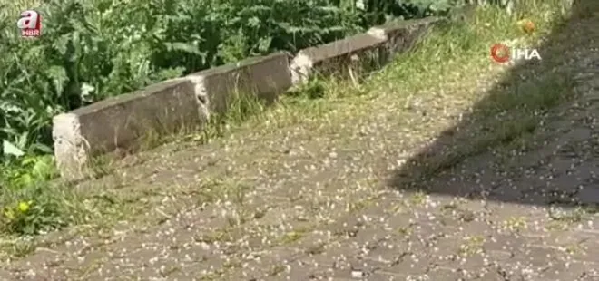 Ağrı Diyadin'de dolu yağışı
