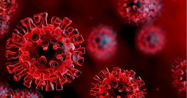 1650777435720.jpg 11 ülkede 169 gizemli vaka! Koronavirüs ile bağlantısı var mı? Gizemli hepatit belirtileri neler? - 4