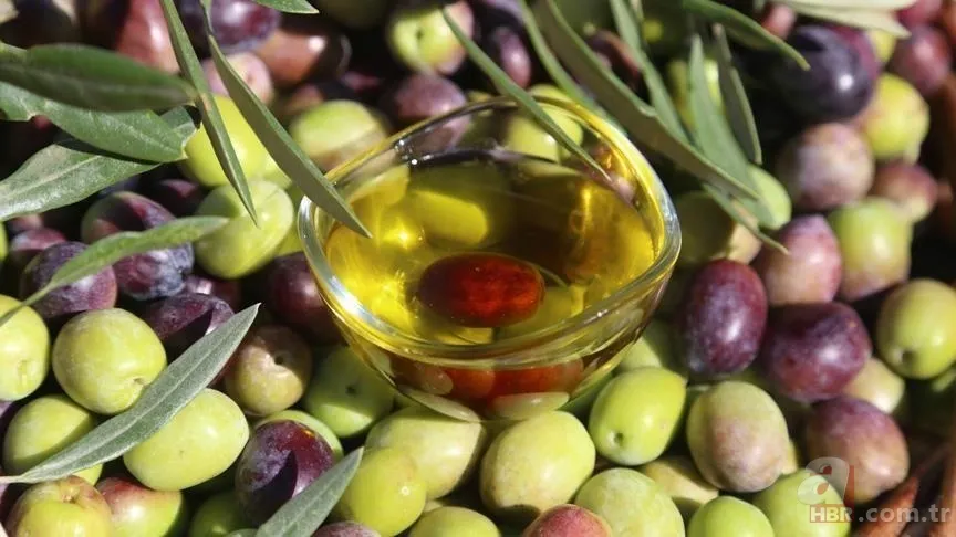 7 gün boyunca her sabah zeytinyağı içti: Vücudunda neler değişti? İşte kalp, kolesterol ve bağırsak sağlığına etkisi 6