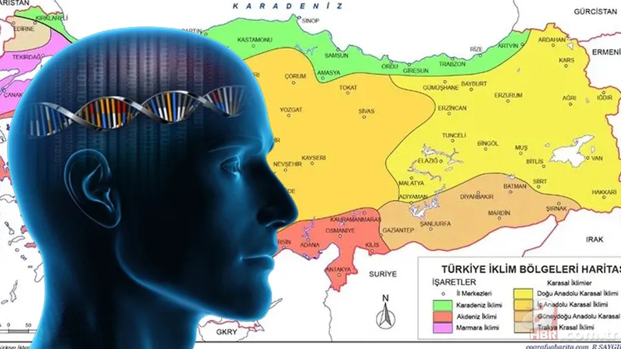 Bu şehirde yaşayanların zekası şahane seviyede çıkıyor! Türkiye'nin IQ haritası... 1