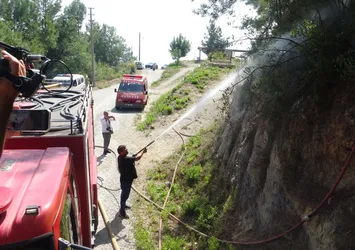 Antalya'da orman yangını: Büyümeden kontrol altına alındı