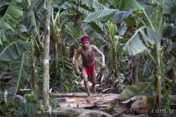 26 yıl kimseyle konuşmayan Çukur Adam öldü! Dış dünyayla teması olmayan kabilenin son üyesiydi 19