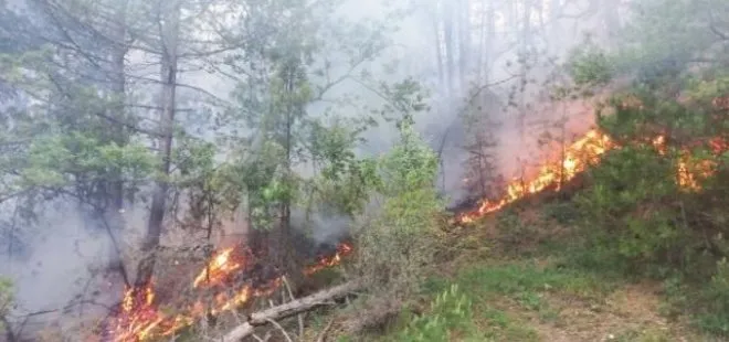 Bolu’da orman yangını! Çevre illerden destek isteniyor