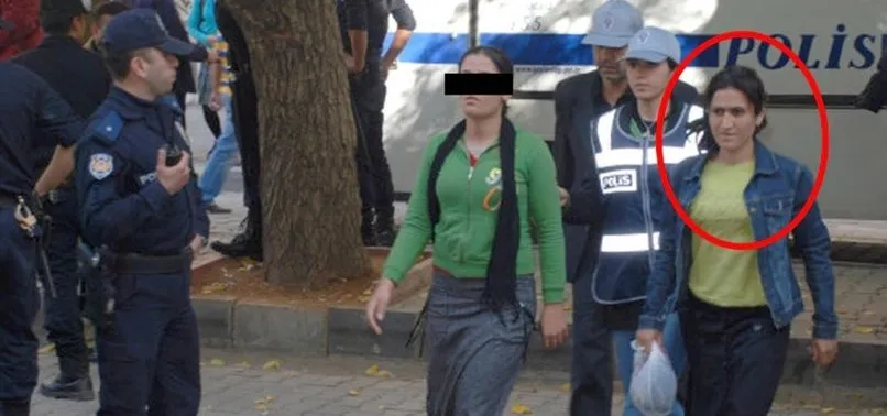 Polisleri taş ve sopayla yaralayan terörist Kandil’de yılan sokması sonucu öldü
