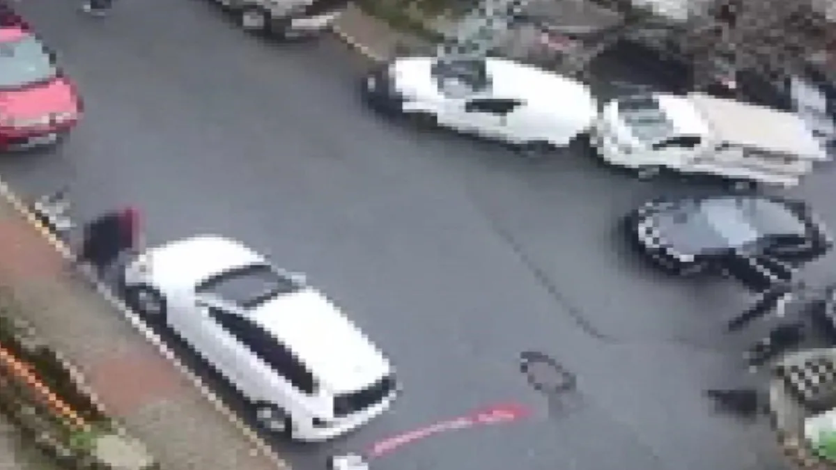 Otomobilinden inip yaşlı adamı darp etti: O anlar kamerada!