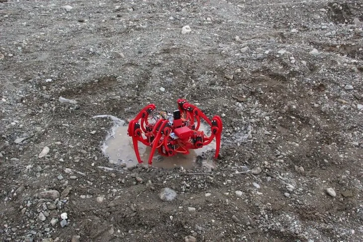 Bubi tuzaklarına Örümcek Robotlu çözüm