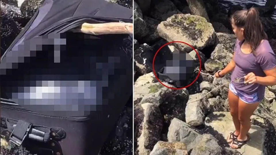 TikTok'çu gençlerin sahilde içinde para var diye açtığı bavuldan ceset parçaları çıktı