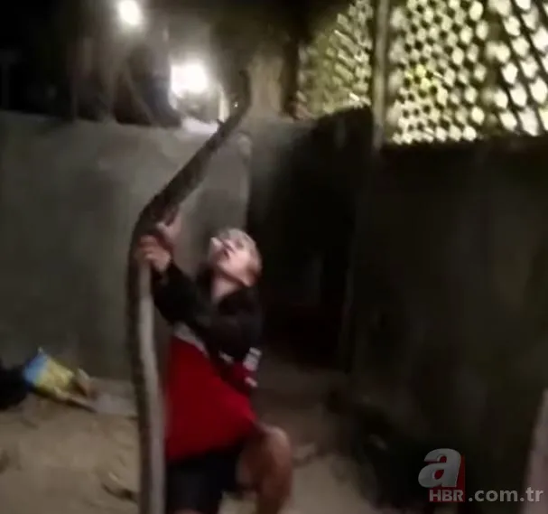 Eve giren kobra yılanıyla ölüm dansı yaptı! Tansiyon çıkaran anlar... 13