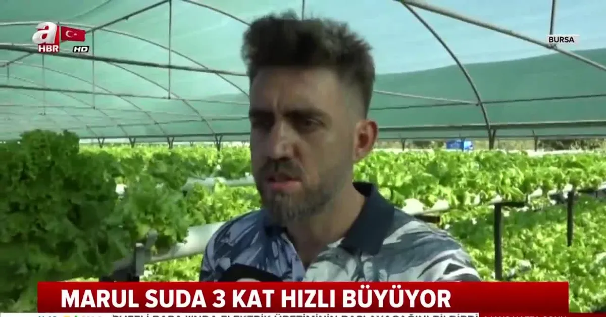 Bursa'da genç girişimci bu yöntemle 3 katı fazla verim alıyor |Video