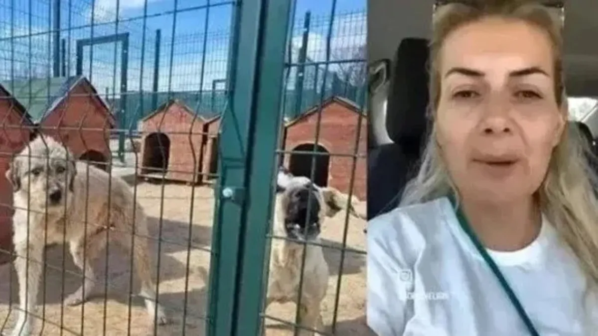 Buket Özgünlü yine duygu sömürüsü ile vurgun peşinde! 'Köpek Velisi' bu kez de 700 bin TL istedi