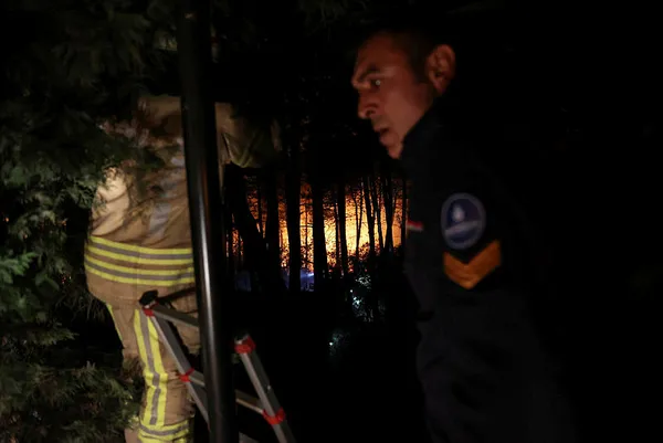 İstanbul Çekmeköy’de orman yangını! Ekiplerin müdahalesiyle kontrol altına alındı