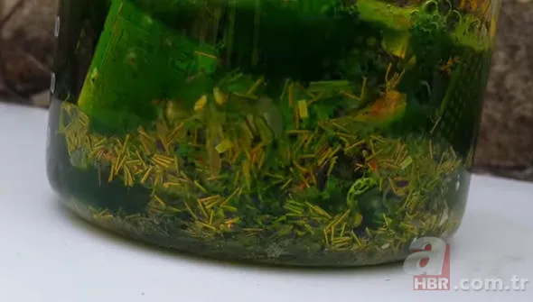 Bilgisayar parçalarından altın çıkardı! Görenler şaşkın... 21