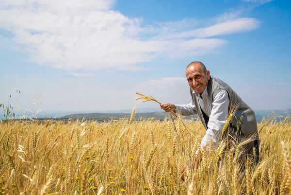 1657688637393.jpg Tahıl koridoru için İstanbul Zirvesi! Dünyanın kalbi Türkiye'de attı
