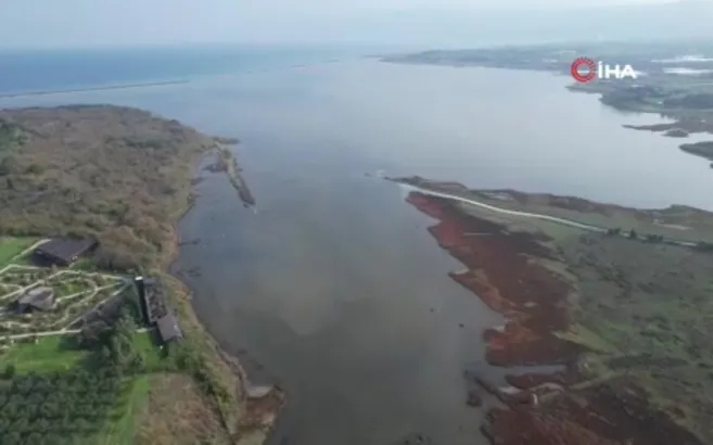 Altınova’da flamingo popülasyonu artıyor