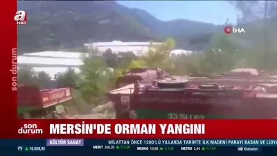 Mersin’de orman yangını