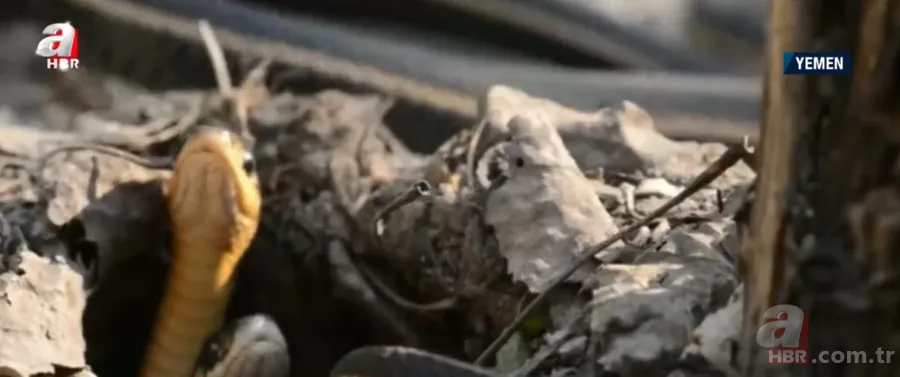 Dünyayı yok edebilecek bir süper yanardağ! Tüyler ürperten Cehennem Kuyusu’nun dibine ilk kez inildi 7