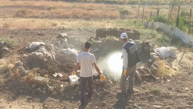 Sivrisinek sayısında artış! Uzman isim uyardı: ölüme sebep olan virüsleri bulaştırır - 7