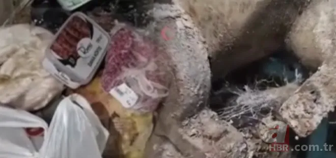 Çöplük değil pideci! Miden bulandıran görüntü sonrası harekete geçildi 1