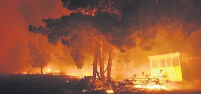 Datça’da korkutan yangın