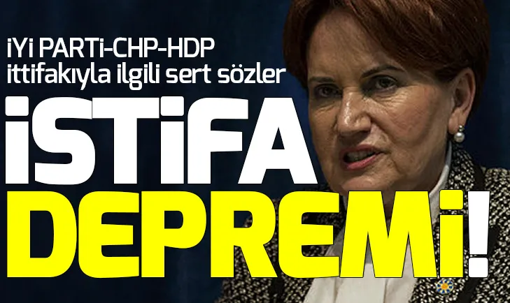 İYİ Partide bir istifa daha!