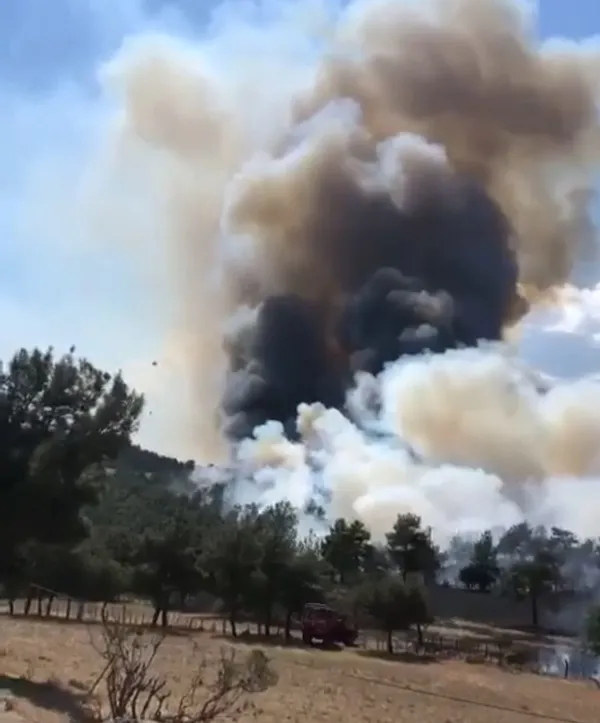 Çanakkale'de orman yangını! Havadan ve karadan müdahale - 3