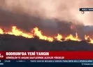 Bodrum’da yeni yangın | Ekipler anında müdahale etti