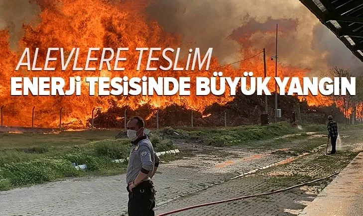 SON DAKİKA | Afyonkarahisar'da biyoenerji tesisinde büyük yangın