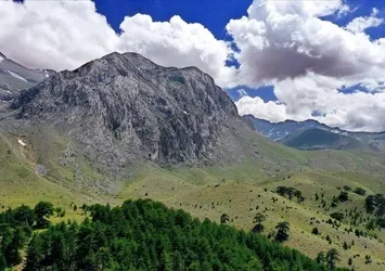 O ilde ormana girişler yasaklandı!