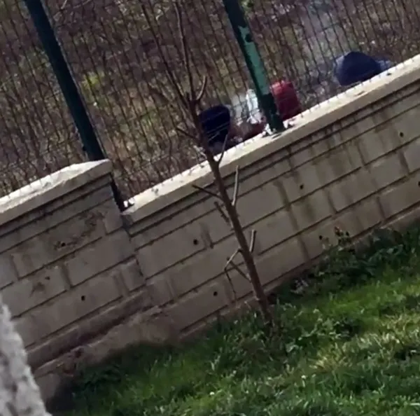 1612098553470.jpg 3 çocuğun yürek sızlatan görüntüsü! Polis inceleme başlattı - 2