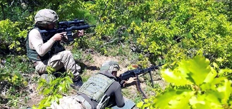 Son dakika: MSB duyurdu: Pençe-Kaplan Operasyonu'nda 9 terörist daha etkisiz hale getirildi