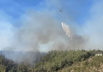 Mersin'deki orman yangını kontrol altında