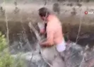 Su kanalına düşen karaca böyle kurtarıldı