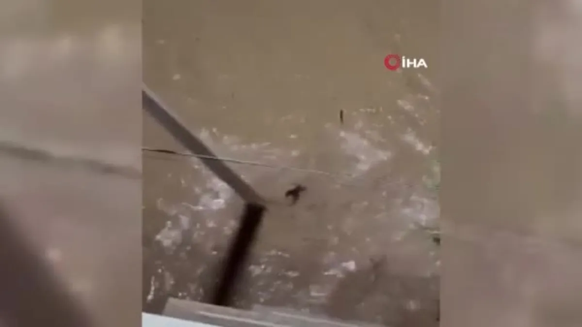 İspanya’yı fırtına ve sel vurdu: 4 kayıp