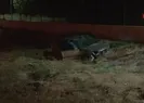 Anında telefon ettiler! Feci görüntü